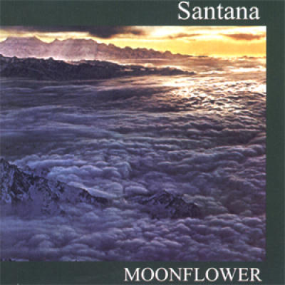 Moonflower